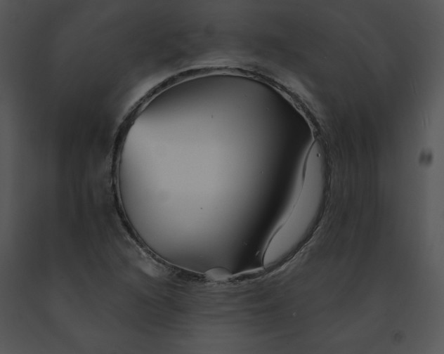 X0000091371216200708311518