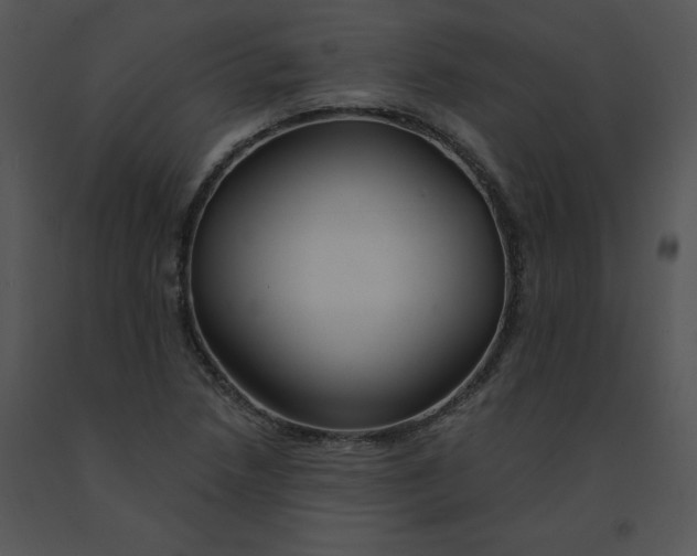 X0000091371218200708311518