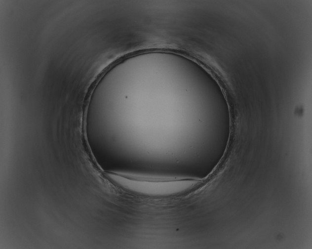 X0000091371220200708311518