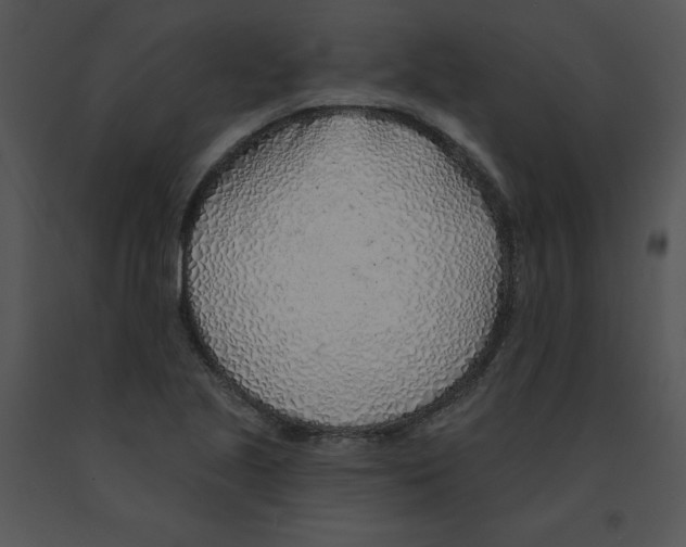 X0000091371221200708311518