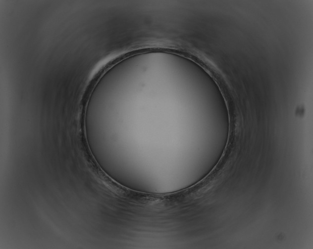 X0000091371222200708311518