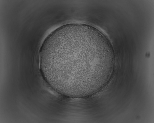 X0000091371223200708311518