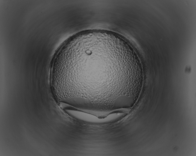 X0000091371224200708311518