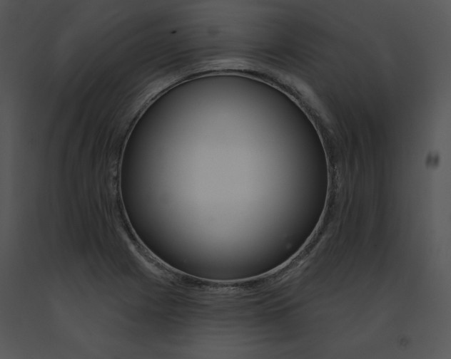 X0000091371225200708311518