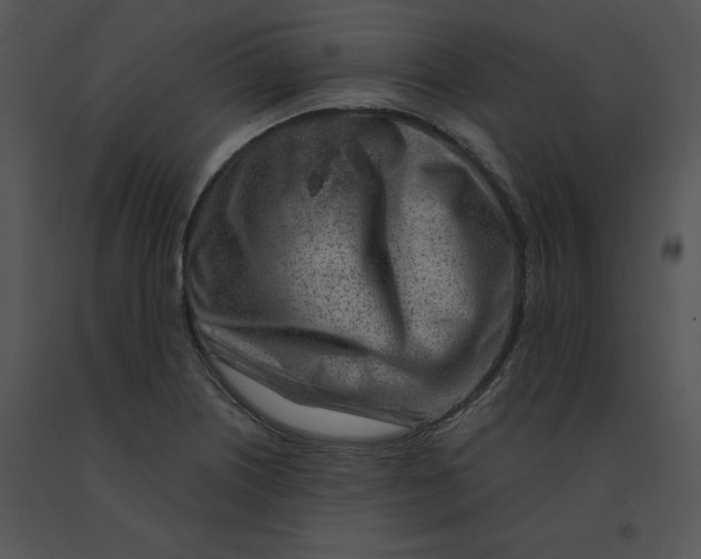 X0000091371226200708311518