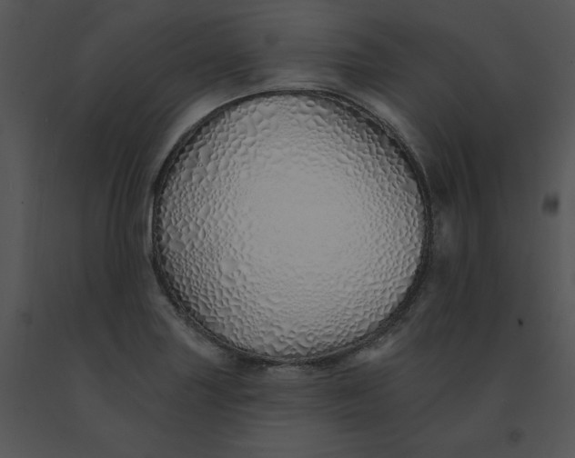 X0000091371227200708311518