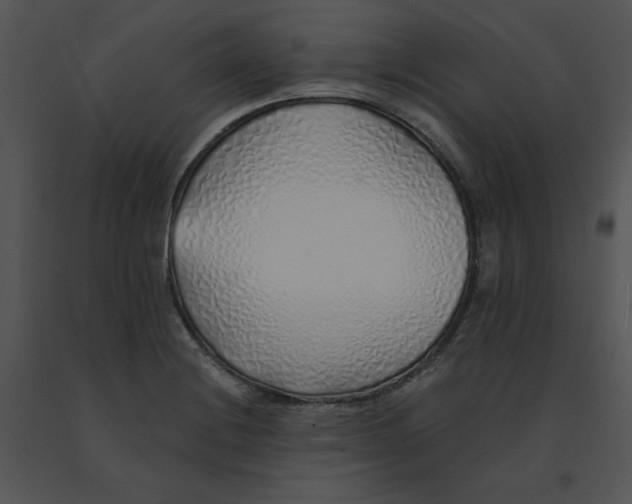 X0000091371228200708311518