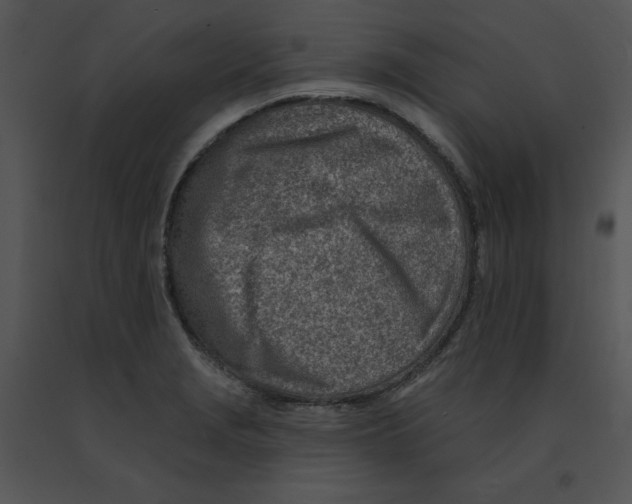 X0000091371229200708311518