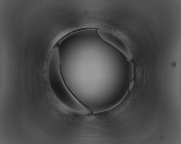 X0000091371230200708311518