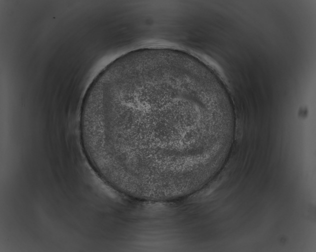 X0000091371231200708311518