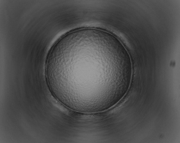 X0000091371232200708311518