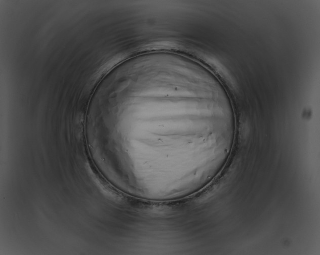 X0000091371233200708311518