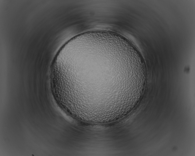 X0000091371235200708311518