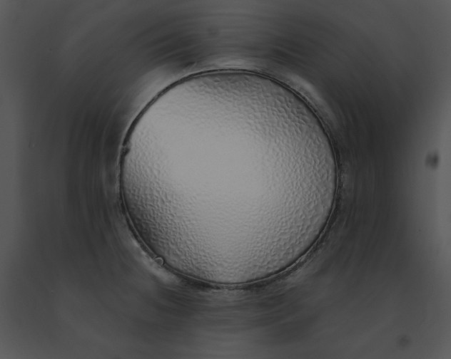 X0000091371236200708311518