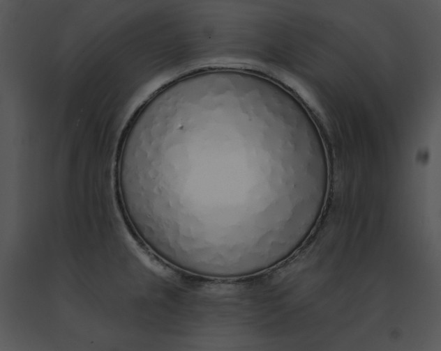 X0000091371237200708311518