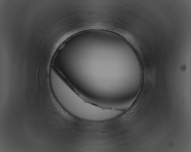 X0000091371238200708311518