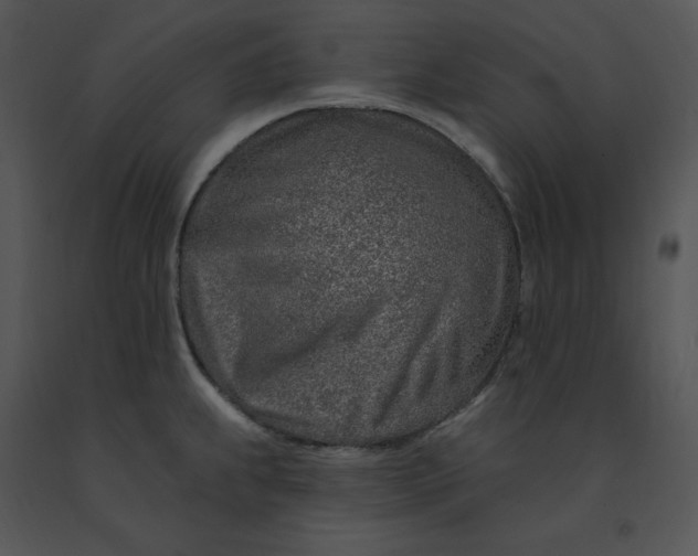 X0000091371239200708311518