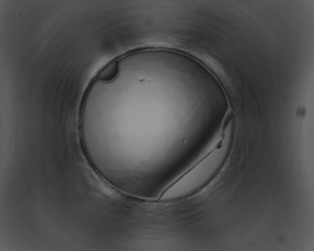 X0000091371240200708311518