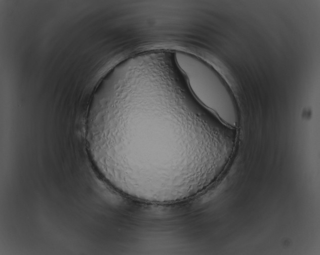 X0000091371241200708311518