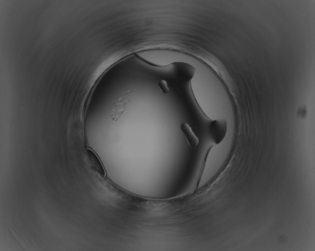 X0000091371242200708311518