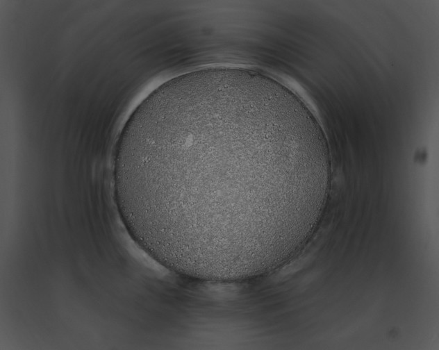 X0000091371243200708311518