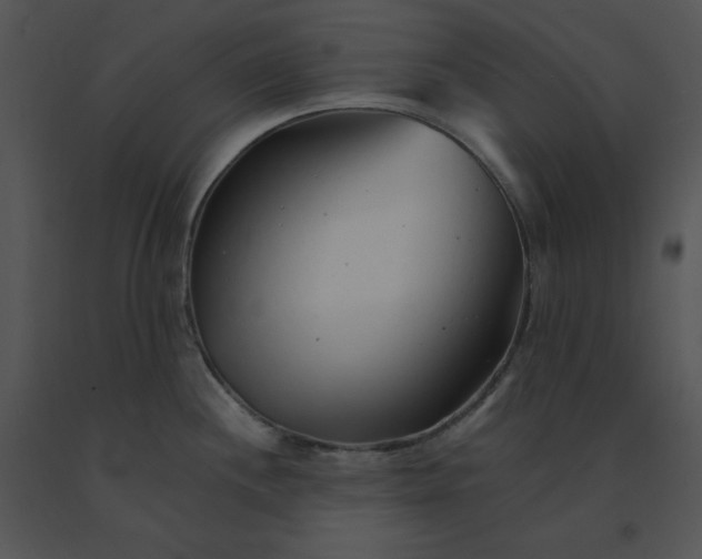 X0000091371244200708311518