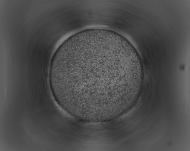 X0000091371245200708311518