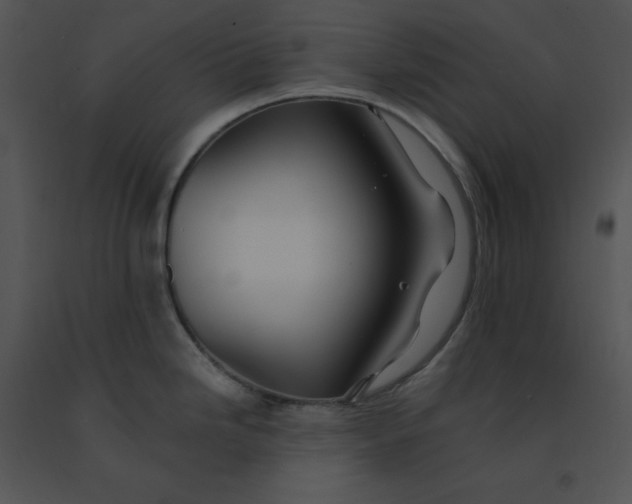 X0000091371246200708311519