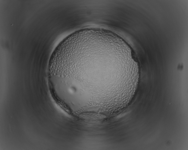 X0000091371247200708311519