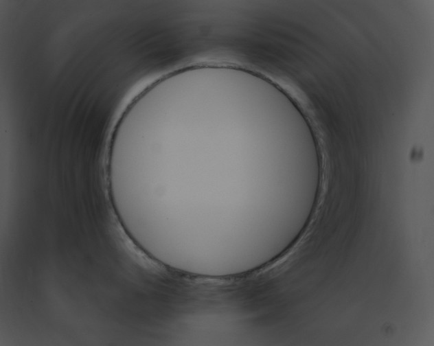 X0000091371248200708311519