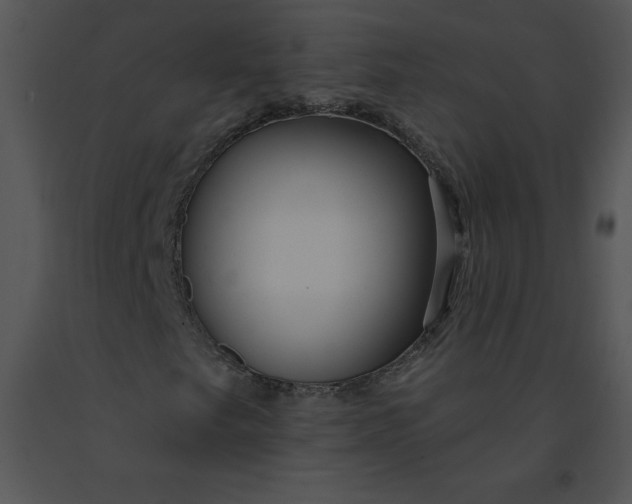 X0000091371249200708311518