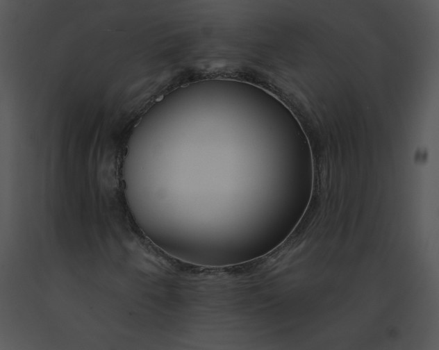 X0000091371250200708311518