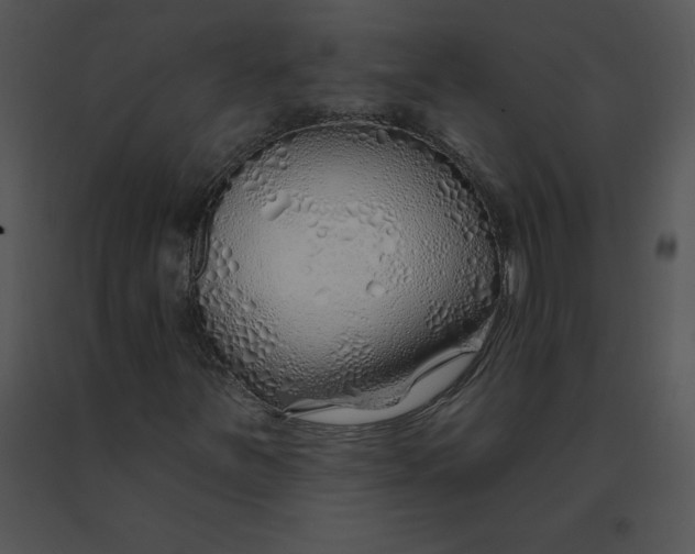 X0000091371251200708311518