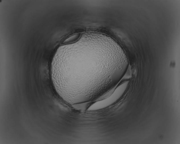 X0000091371252200708311518