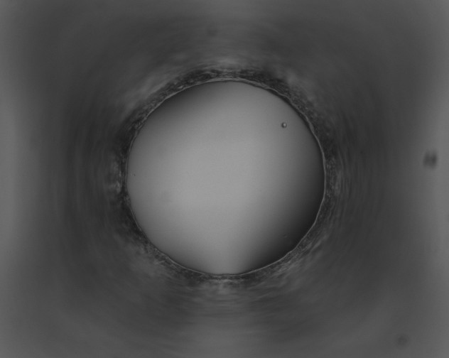 X0000091371253200708311518