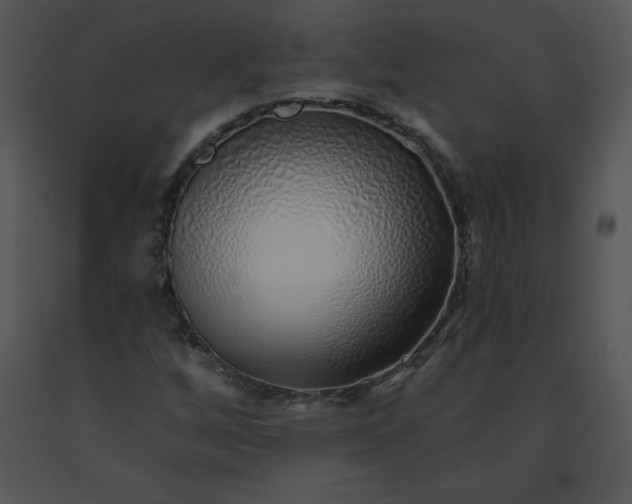 X0000091371256200708311518