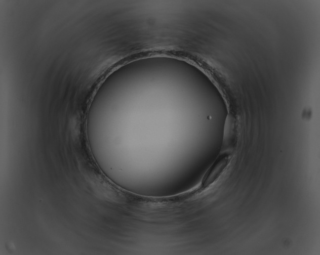 X0000091371257200708311518