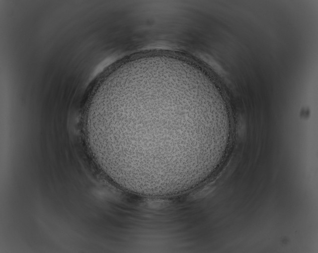 X0000091371258200708311518