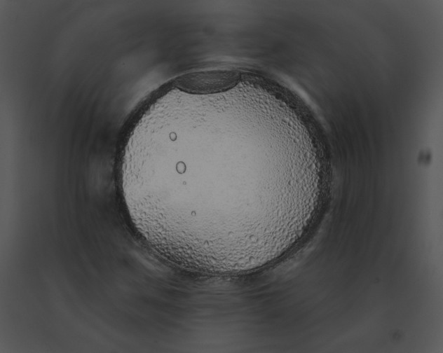 X0000091371259200708311518