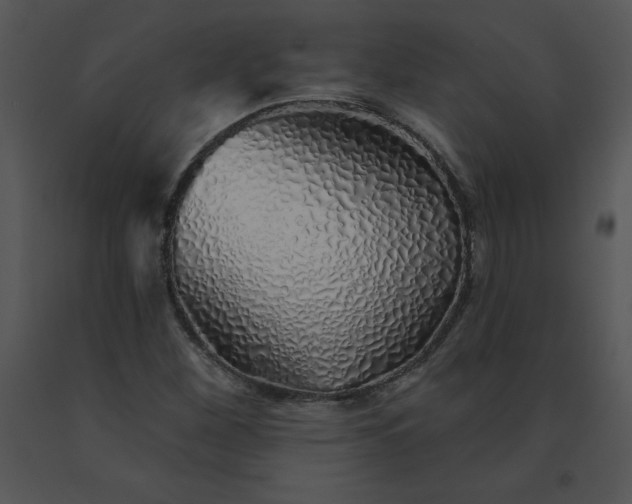 X0000091371260200708311518