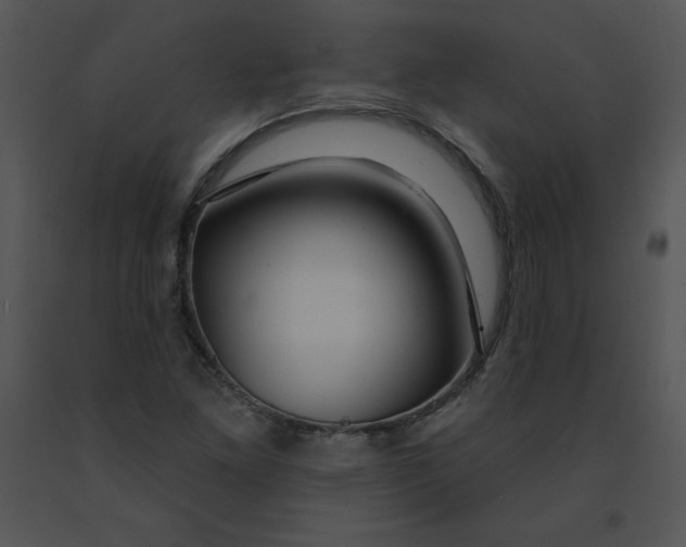 X0000091371261200708311518