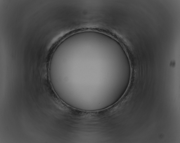 X0000091371262200708311518