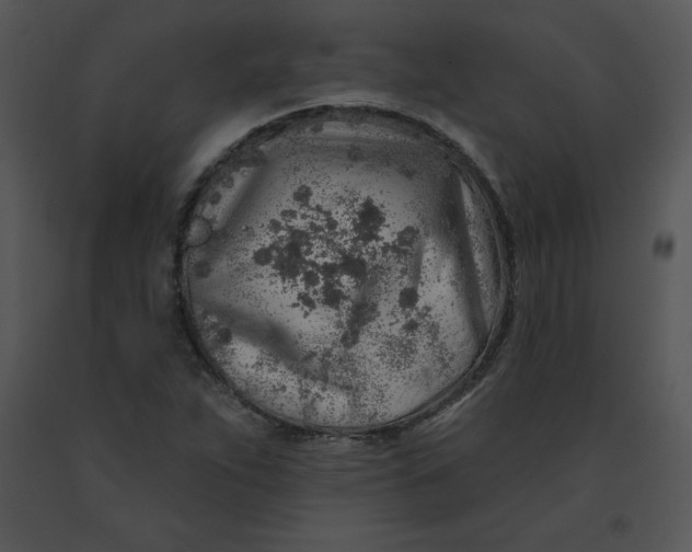 X0000091371263200708311518