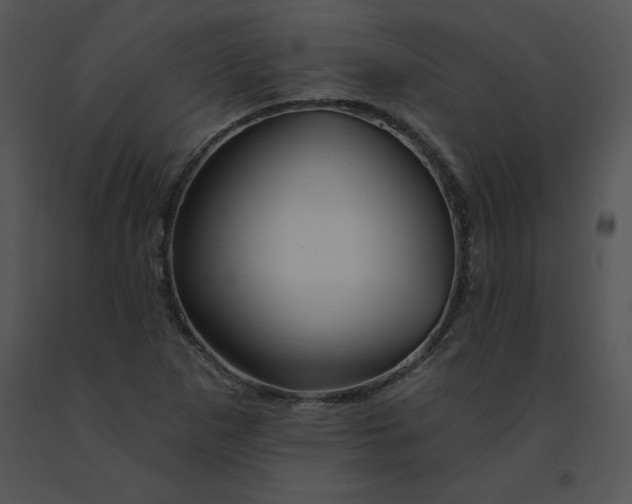 X0000091371265200708311518