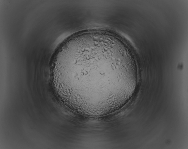 X0000091371267200708311518