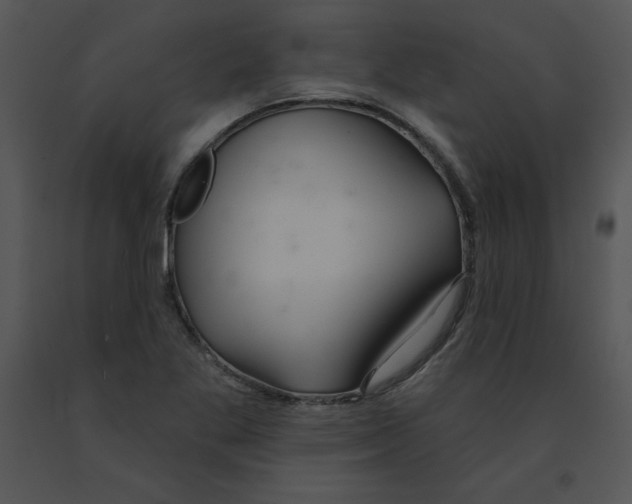 X0000091371269200708311518