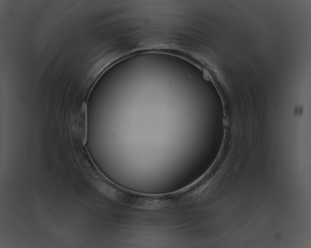 X0000091371273200708311518