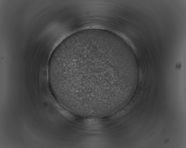 X0000091371274200708311518