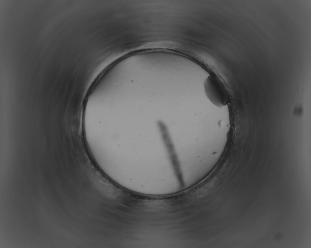 X0000091371276200708311518