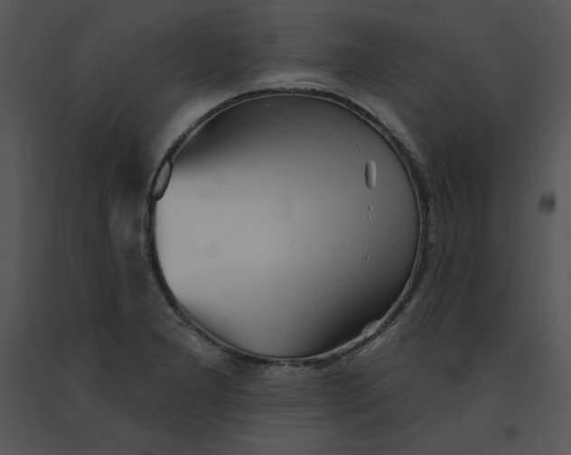 X0000091371277200708311518